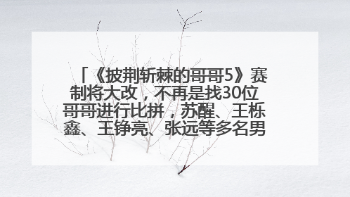 《披荆斩棘的哥哥5》赛制将大改，不再是找30位哥哥进行比拼，苏醒、王栎鑫、王铮亮、张远等多名男团选手被曝将参加