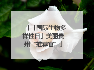 「国际生物多样性日」美丽贵州“推荐官”