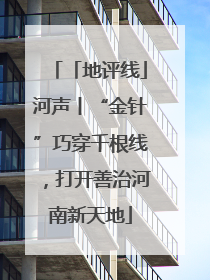 「地评线」河声丨“金针”巧穿千根线，打开善治河南新天地