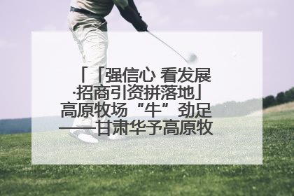 「强信心 看发展·招商引资拼落地」高原牧场“牛”劲足——甘肃华予高原牧场高标准奶牛肉牛养殖项目一线见闻