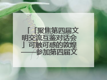 「聚焦第四届文明交流互鉴对话会」可触可感的敦煌——参加第四届文明交流互鉴对话会的外宾参观上元市集