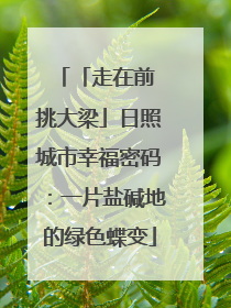 「走在前 挑大梁」日照城市幸福密码：一片盐碱地的绿色蝶变