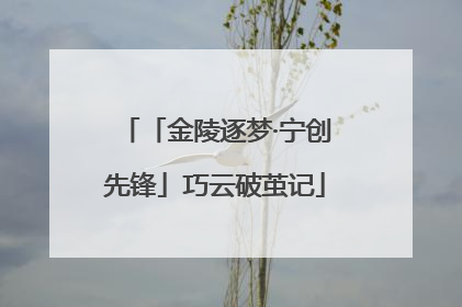 「金陵逐梦·宁创先锋」巧云破茧记