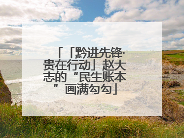 「黔进先锋·贵在行动」赵大志的“民生账本”画满勾勾