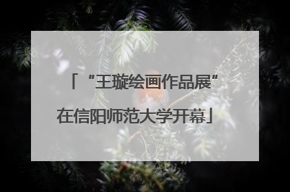 “王璇绘画作品展”在信阳师范大学开幕