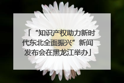 “知识产权助力新时代东北全面振兴”新闻发布会在黑龙江举办