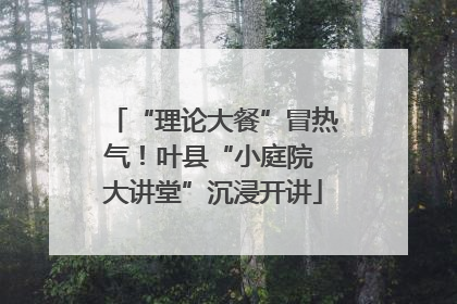 “理论大餐”冒热气！叶县“小庭院 大讲堂”沉浸开讲