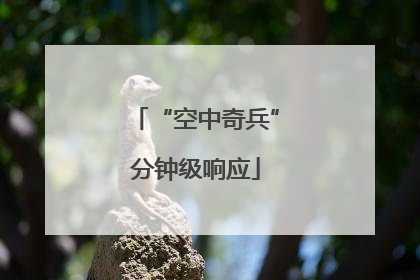 “空中奇兵”分钟级响应
