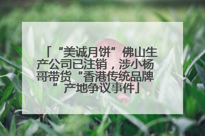 “美诚月饼”佛山生产公司已注销，涉小杨哥带货“香港传统品牌”产地争议事件