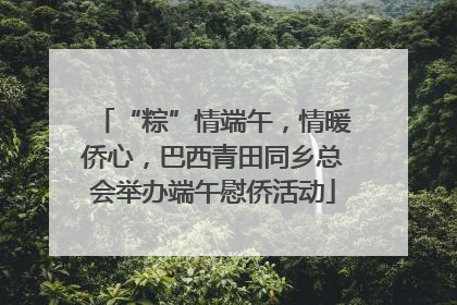 “粽”情端午，情暖侨心，巴西青田同乡总会举办端午慰侨活动