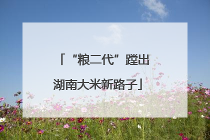 “粮二代”蹚出湖南大米新路子