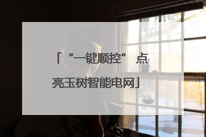 “一键顺控” 点亮玉树智能电网