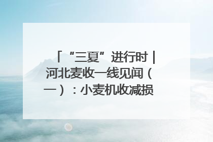 “三夏”进行时｜河北麦收一线见闻（一）：小麦机收减损“竞技” 农机高手麦田“过招”