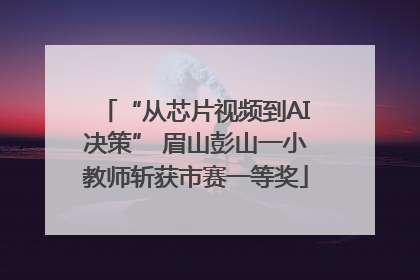 “从芯片视频到AI决策” 眉山彭山一小教师斩获市赛一等奖