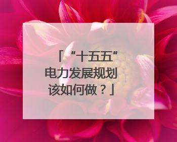 “十五五”电力发展规划该如何做？