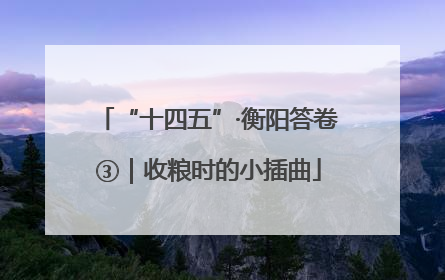 “十四五”·衡阳答卷③｜收粮时的小插曲