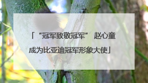 “冠军致敬冠军” 赵心童成为比亚迪冠军形象大使