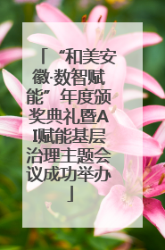 “和美安徽·数智赋能”年度颁奖典礼暨AI赋能基层治理主题会议成功举办