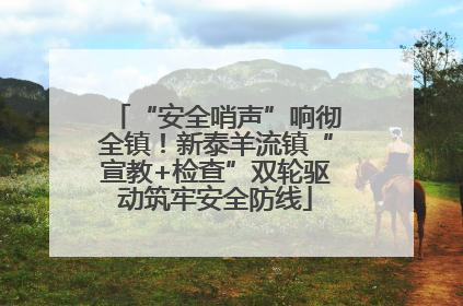 “安全哨声”响彻全镇！新泰羊流镇“宣教+检查”双轮驱动筑牢安全防线