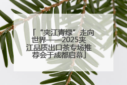 “夹江青绿”走向世界——2025夹江品质出口茶专场推荐会于成都启幕