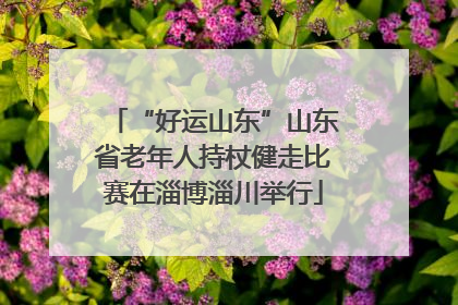 “好运山东”山东省老年人持杖健走比赛在淄博淄川举行