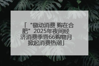 “徽动消费 购在合肥”2025年夜间经济消费季暨66购物月掀起消费热潮
