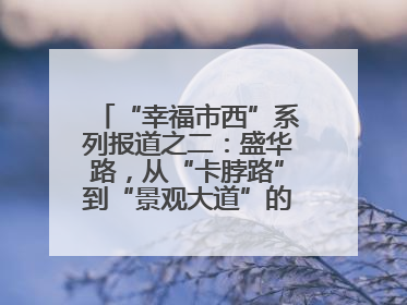 “幸福市西”系列报道之二：盛华路，从“卡脖路”到“景观大道”的华丽转身