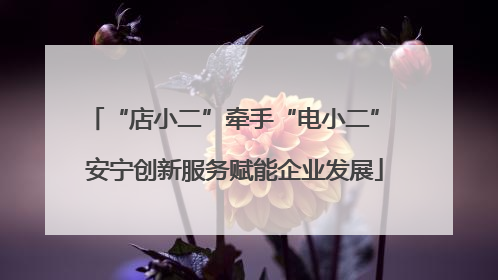 “店小二”牵手“电小二” 安宁创新服务赋能企业发展