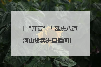 “开麦”！延庆八道河山货卖进直播间