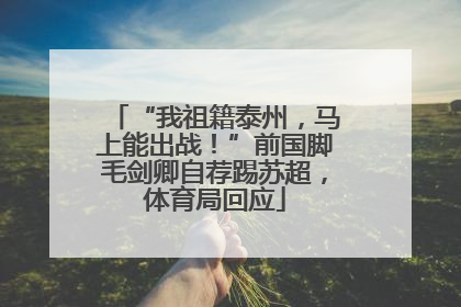“我祖籍泰州，马上能出战！”前国脚毛剑卿自荐踢苏超，体育局回应