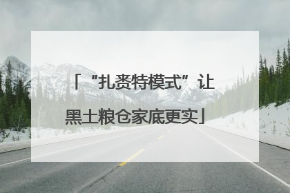 “扎赉特模式”让黑土粮仓家底更实