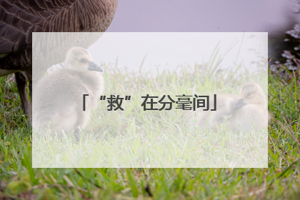“救”在分毫间