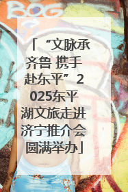 “文脉承齐鲁 携手赴东平”2025东平湖文旅走进济宁推介会圆满举办