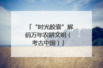 “时光胶囊”解码万年农耕文明（考古中国）