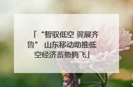 “智驭低空 翼展齐鲁” 山东移动助推低空经济蓄势腾飞