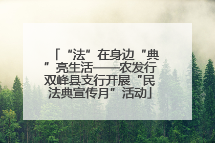 “法”在身边“典”亮生活——农发行双峰县支行开展“民法典宣传月”活动