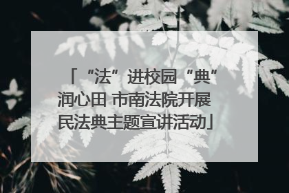 “法”进校园“典”润心田 市南法院开展民法典主题宣讲活动