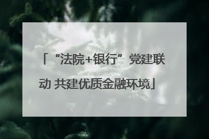 “法院+银行”党建联动 共建优质金融环境