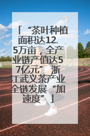 “茶叶种植面积达12.5万亩，全产业链产值达57亿元” 浙江武义茶产业全链发展“加速度”