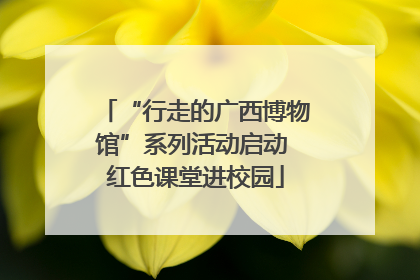 “行走的广西博物馆”系列活动启动 红色课堂进校园