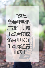 “这是一条会呼吸的岸线”，城市观察团探访百里长江生态廊道青山段