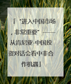 “进入中国市场，非常重要”——从肯尼亚-中国投资对话会看中非合作机遇