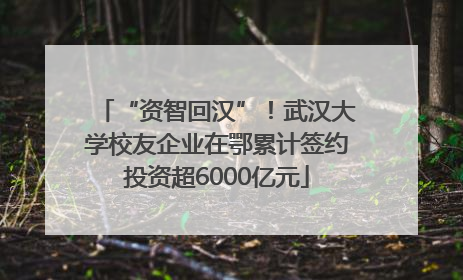 “资智回汉”！武汉大学校友企业在鄂累计签约投资超6000亿元
