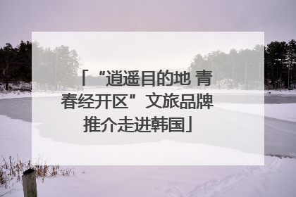 “逍遥目的地 青春经开区”文旅品牌推介走进韩国