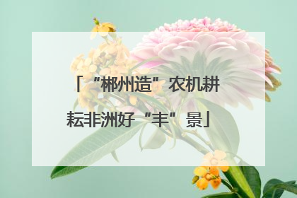 “郴州造”农机耕耘非洲好“丰”景