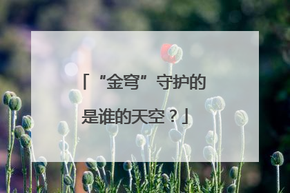 “金穹”守护的是谁的天空？