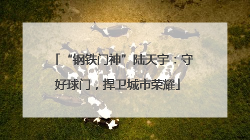 “钢铁门神”陆天宇：守好球门，捍卫城市荣耀
