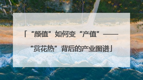 “颜值”如何变“产值”——“赏花热”背后的产业图谱