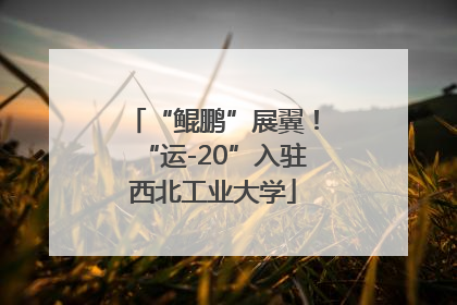 “鲲鹏”展翼！“运-20”入驻西北工业大学