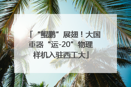 “鲲鹏”展翅！大国重器“运-20”物理样机入驻西工大